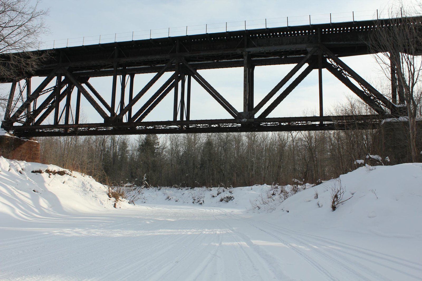 Deck truss span